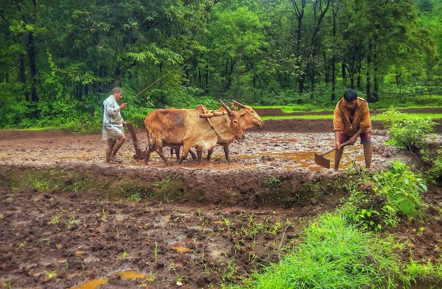 कृषि विधेयक : भारत के कृषि क्षेत्र में कौन से बदलाव ला रहा है
