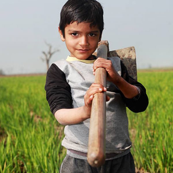 Child labour is on the rise: How does the law combat it?